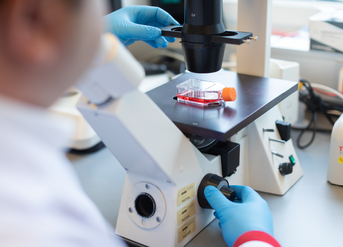 Press release improving the early detection, prevention and treatment